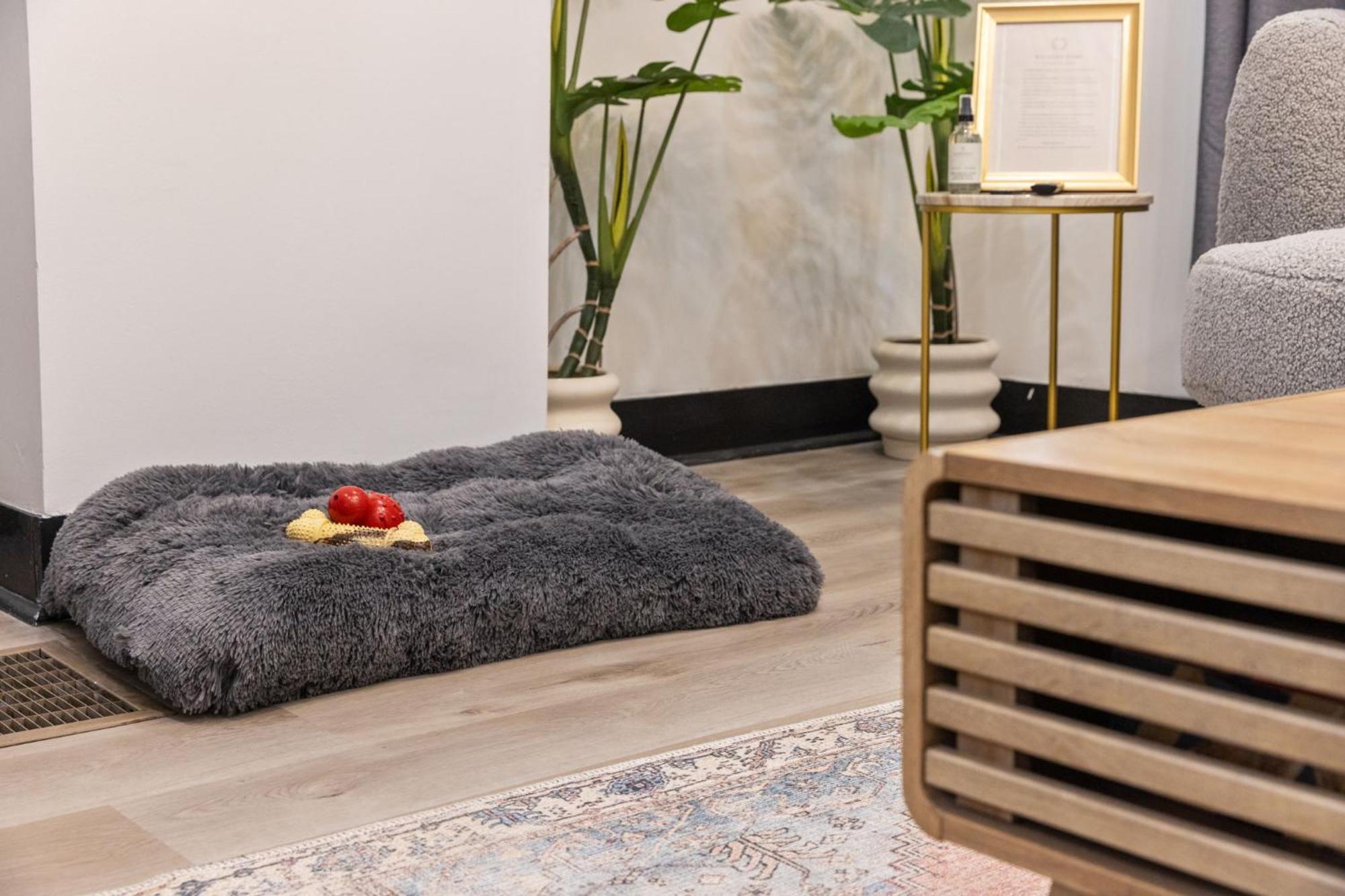Heart Of Downtown, 5 Mins To Andy Warhol Museum, Parking Available, Private Fenced Backyard, Smart Tv, Washer And Dryer In Unit Сasa de vacaciones